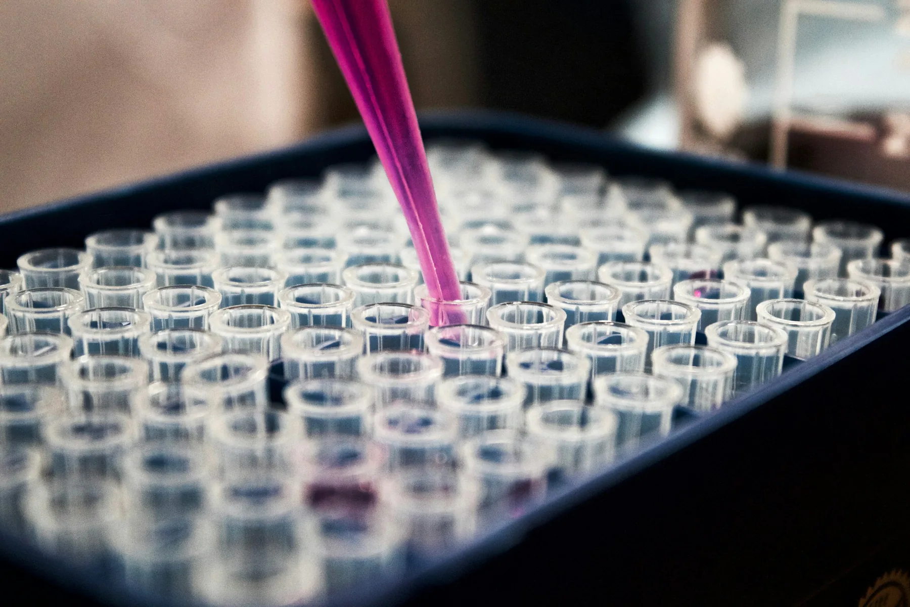 Laboratory pipette dispensing a sample into a tray of test vessels